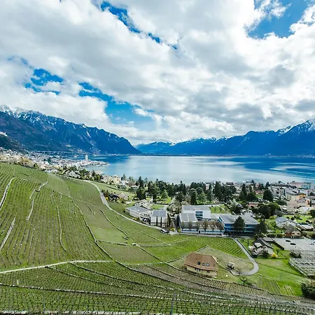 Chateau Du Chatelard | Unique