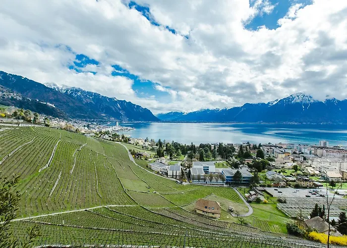 Chateau Du Chatelard | Unique