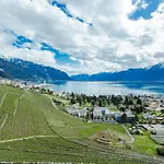 Chateau Du Chatelard | Unique